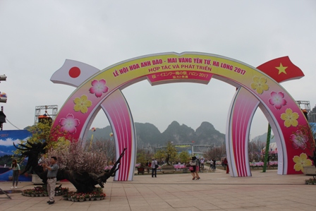 le hoi hoa anh da quang ninh