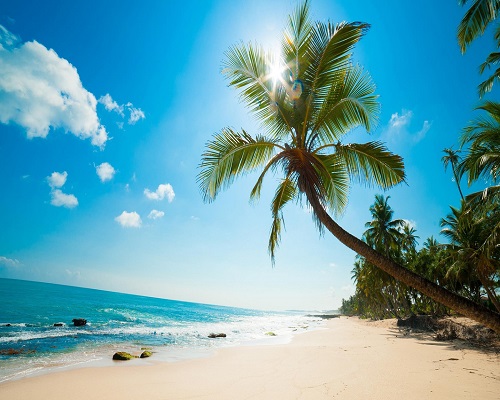 xay-dung-3-dac-khu-kinh-te-van-don-bac-van-phong-va-phu-quoc
